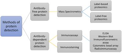 Application of Proteomics in Apical Periodontitis